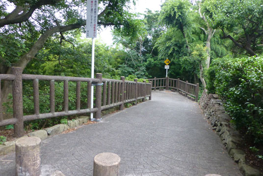 南福生公園への小道